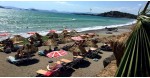 Surf Cafe Restaurant